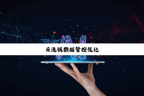 反洗钱数据管控优化