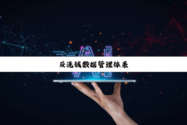 反洗钱数据管理体系