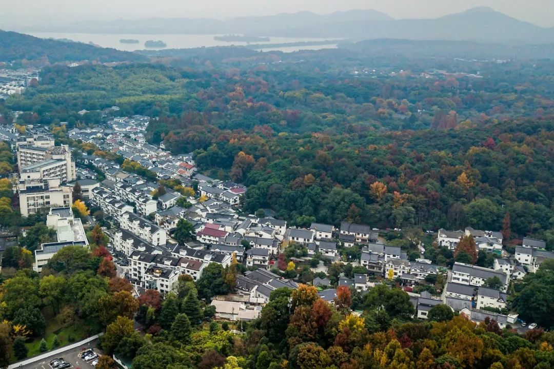 新质生产力 | 藏在“山里”的机器人基地