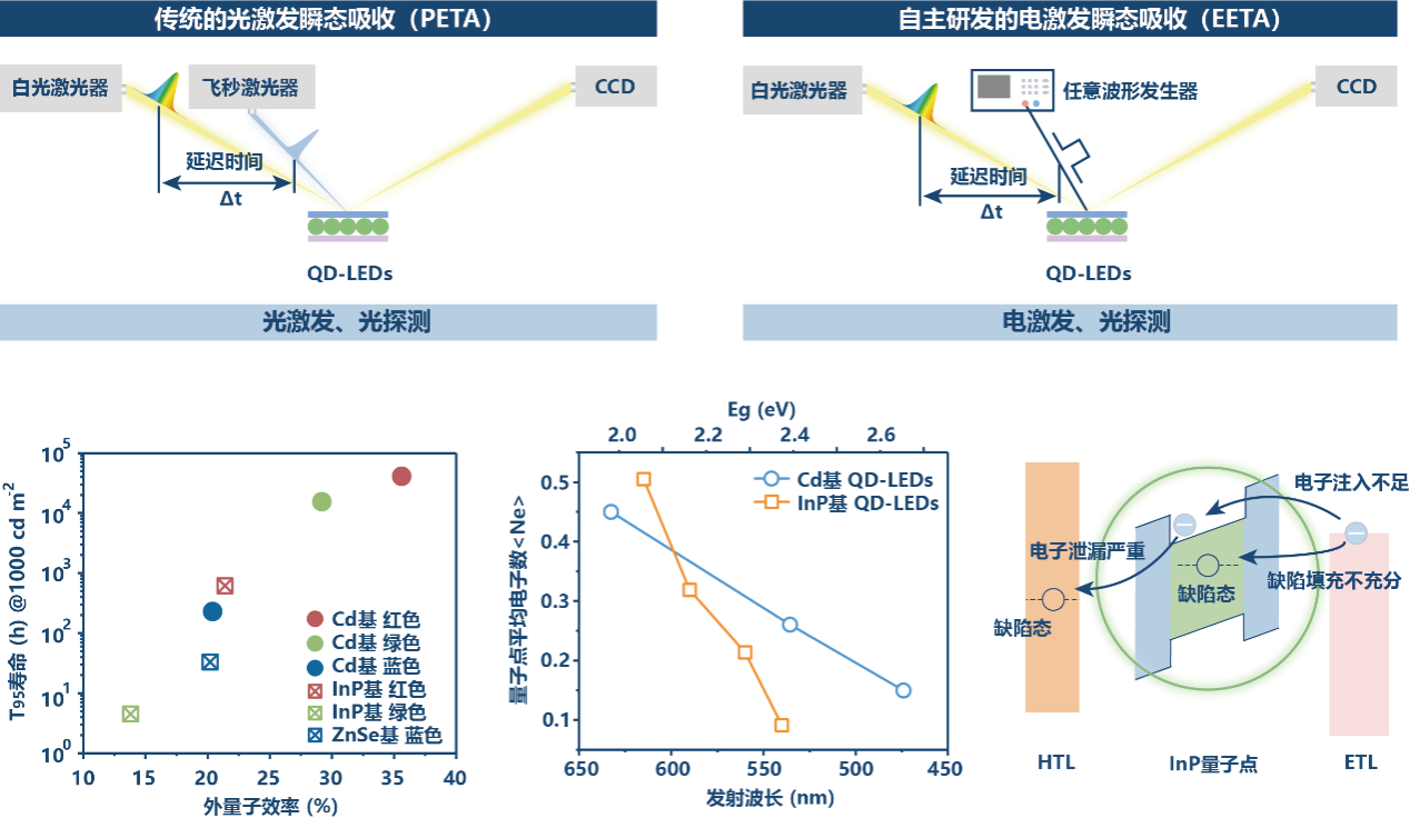 中国科大在环保型磷化铟量子点LED工作机制研究中取得重要进展