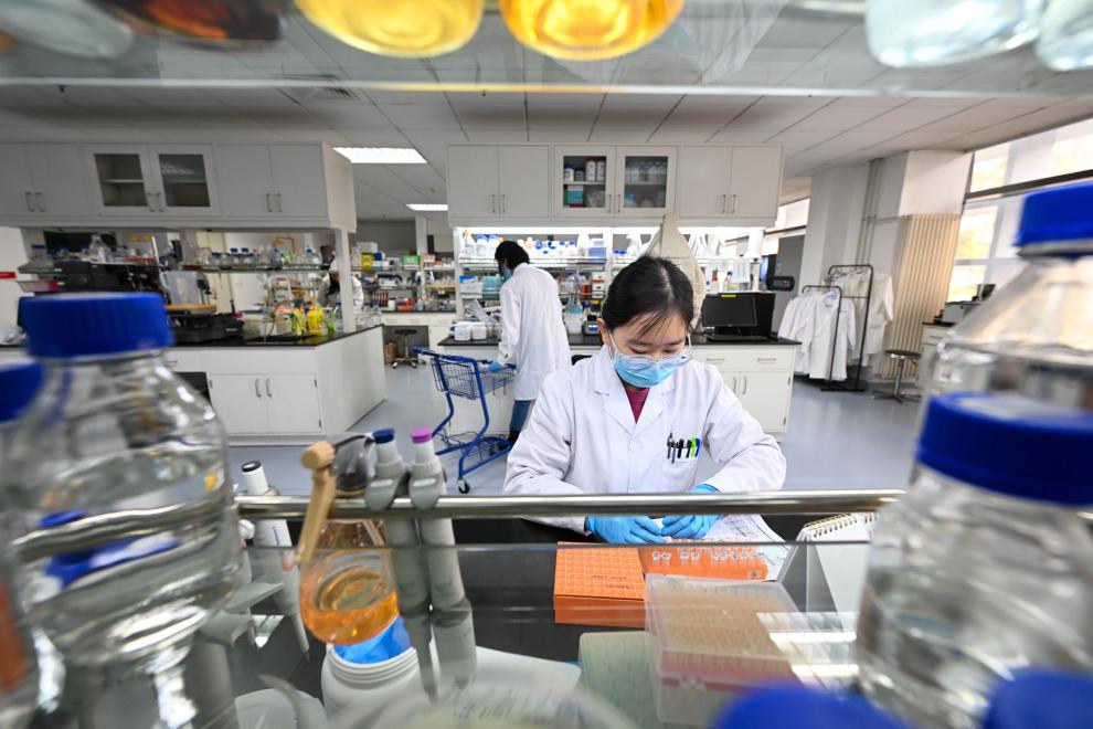 生物制造：新质生产力开启创新未来